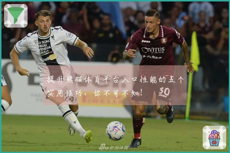 提升熊猫体育平台入口性能的五个实用技巧，你不可不知！