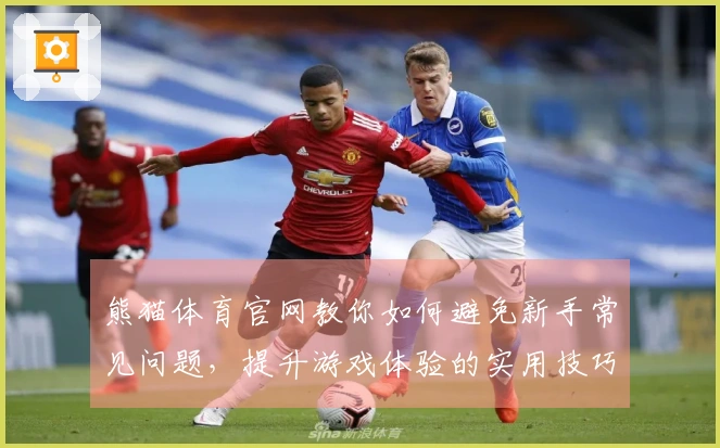 熊猫体育官网教你如何避免新手常见问题，提升游戏体验的实用技巧