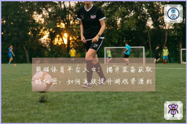 熊猫体育平台入口：揭开装备获取的秘密，如何高效提升游戏资源利用率？