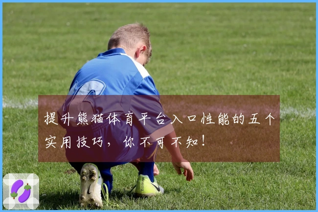 提升熊猫体育平台入口性能的五个实用技巧，你不可不知！